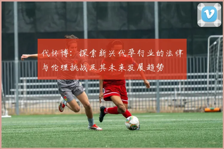 代怀博：探索新兴代孕行业的法律与伦理挑战及其未来发展趋势