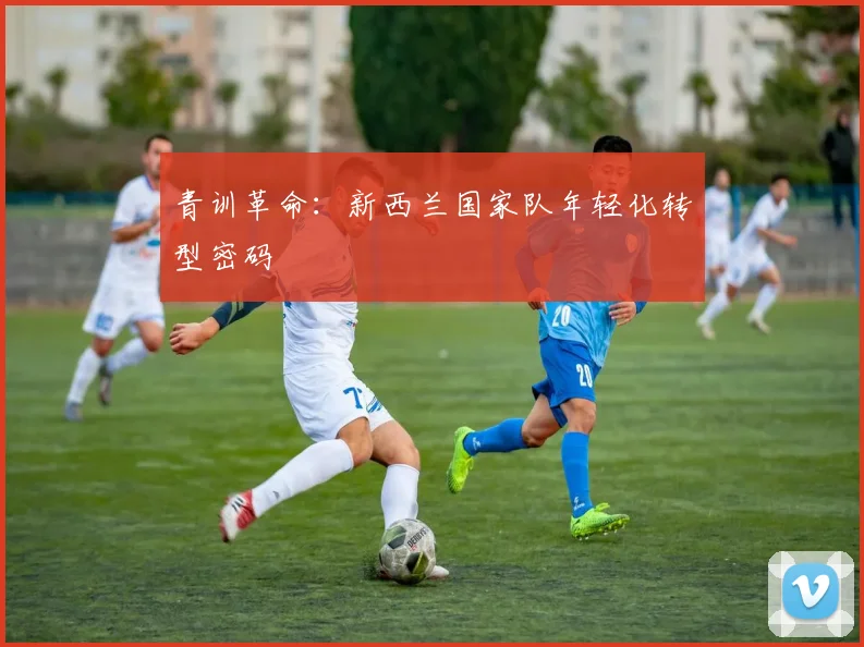 青训革命：新西兰国家队年轻化转型密码