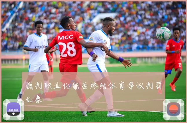 裁判职业化能否终结体育争议判罚乱象