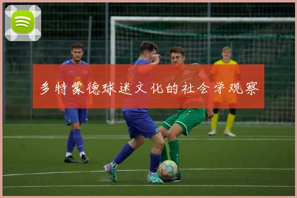 多特蒙德球迷文化的社会学观察