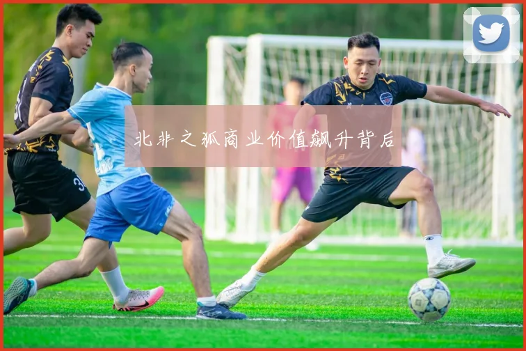 北非之狐商业价值飙升背后